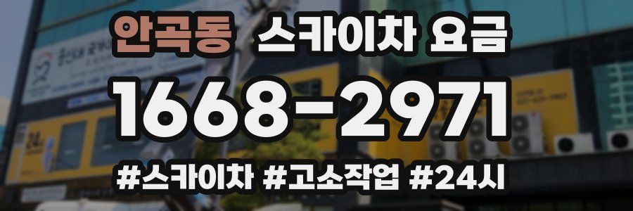 안곡동 스카이차 요금