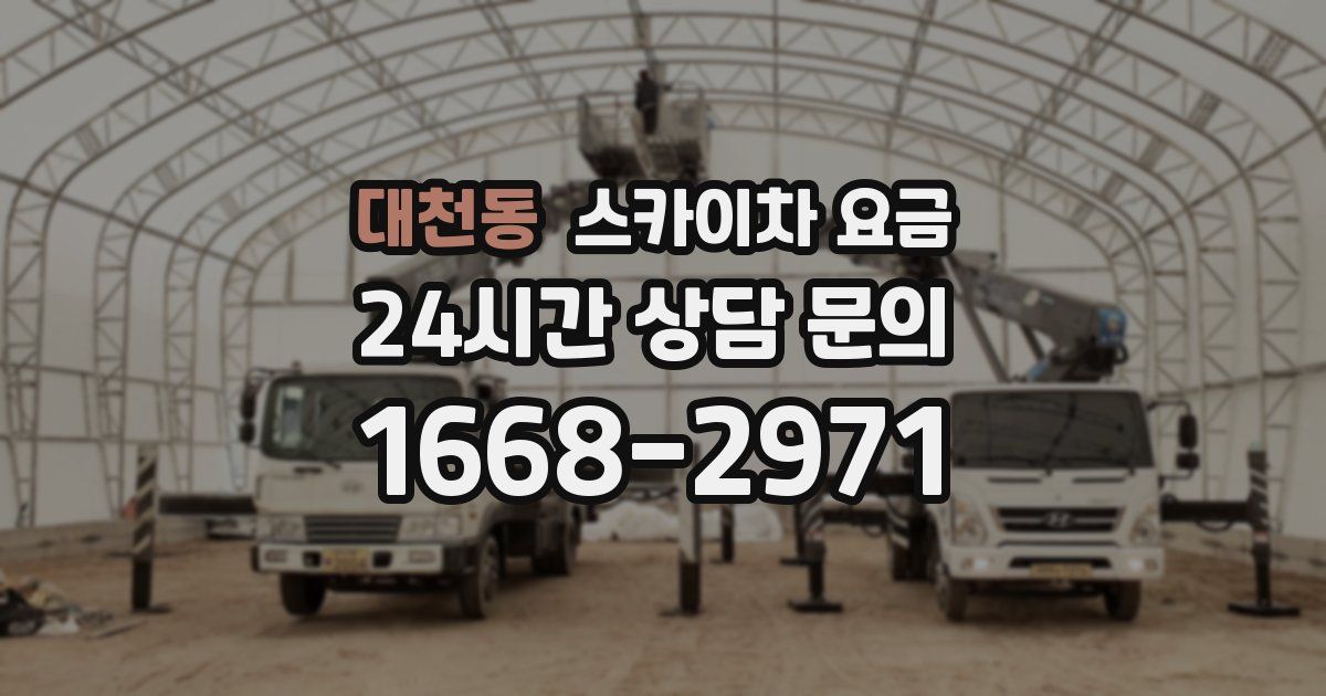 대천동 스카이차 요금