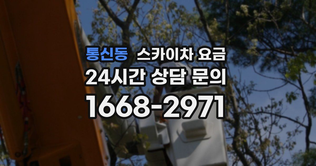 통신동 스카이차 요금