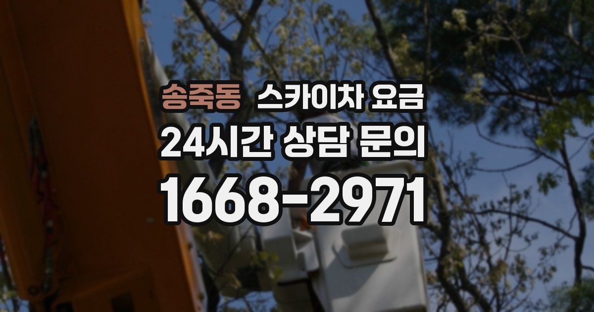 송죽동 스카이차 요금