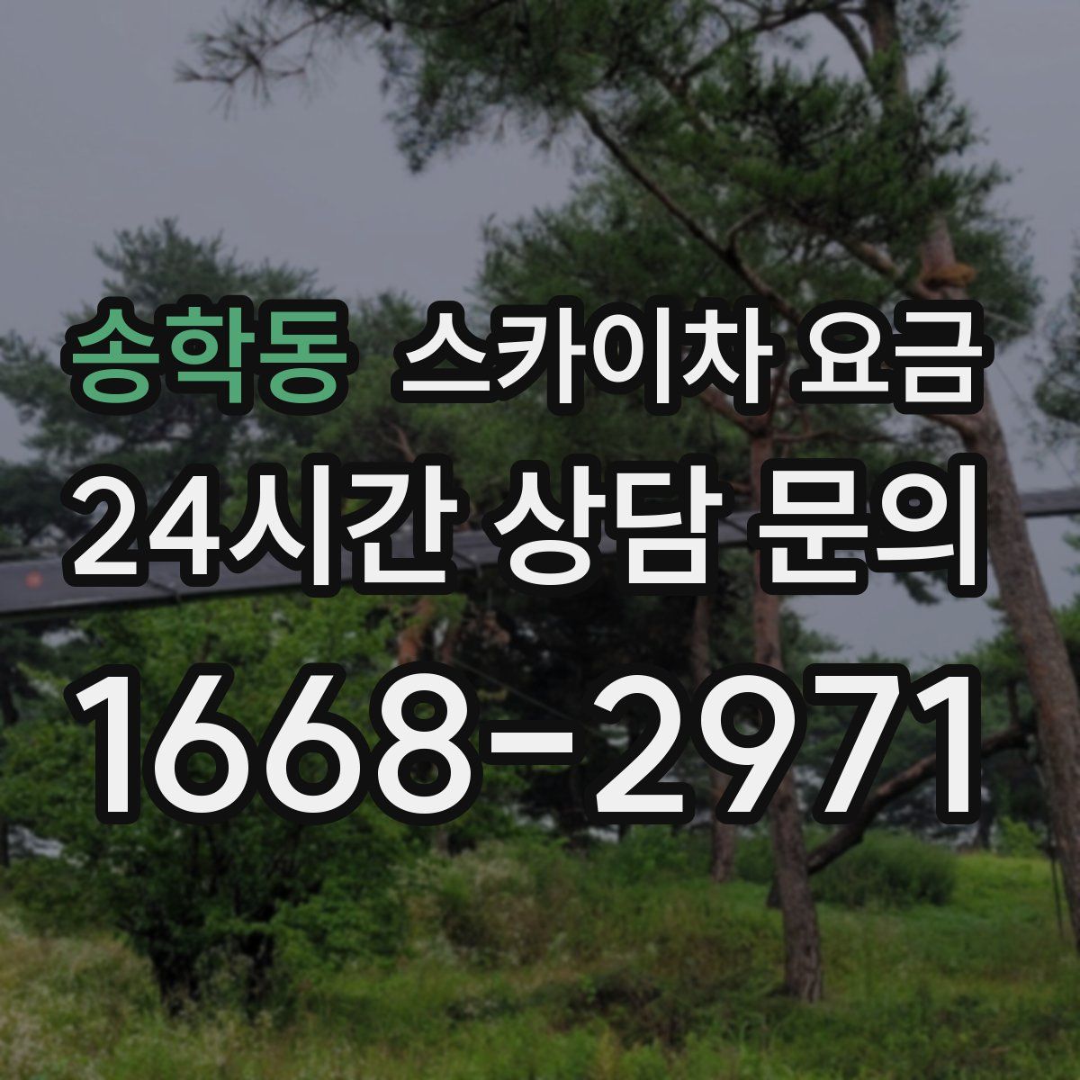 송학동 스카이차 요금