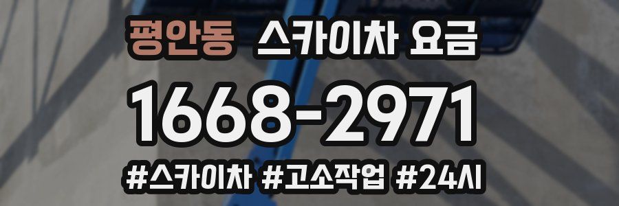 평안동 스카이차 요금