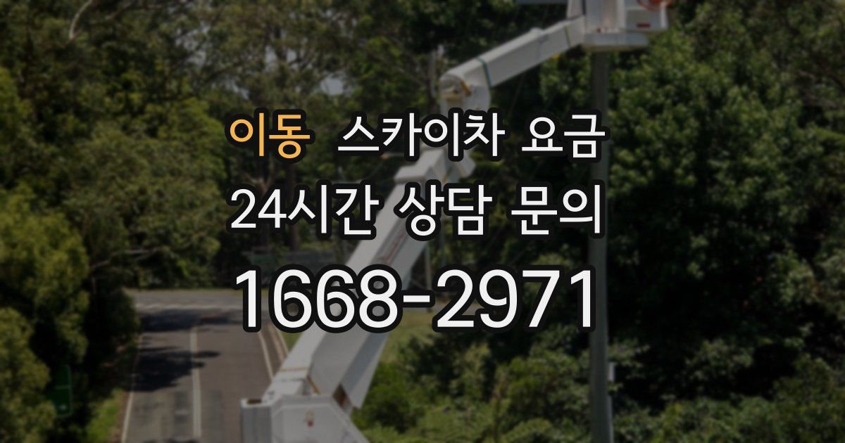 이동 스카이차 요금