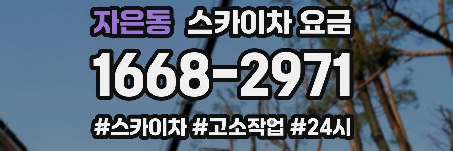 자은동 스카이차 요금
