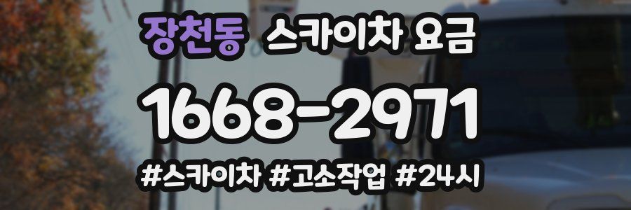 장천동 스카이차 요금
