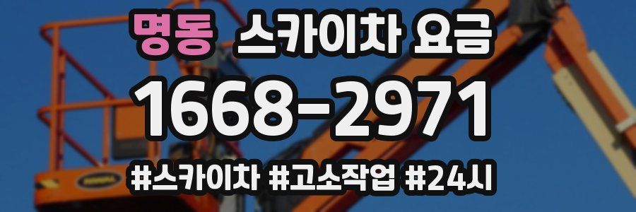 명동 스카이차 요금