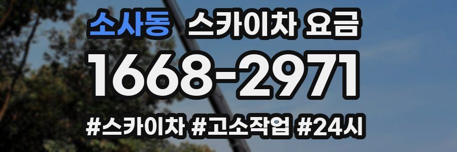 소사동 스카이차 요금