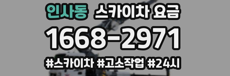 인사동 스카이차 요금
