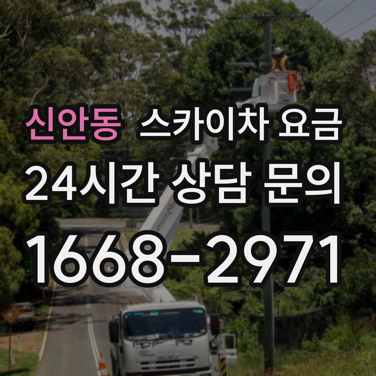 신안동 스카이차 요금
