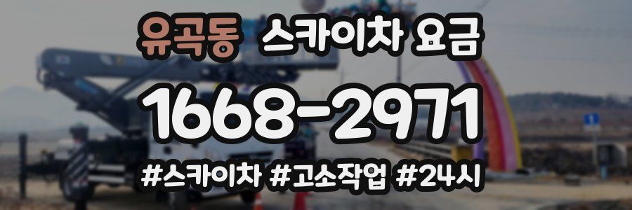 유곡동 스카이차 요금