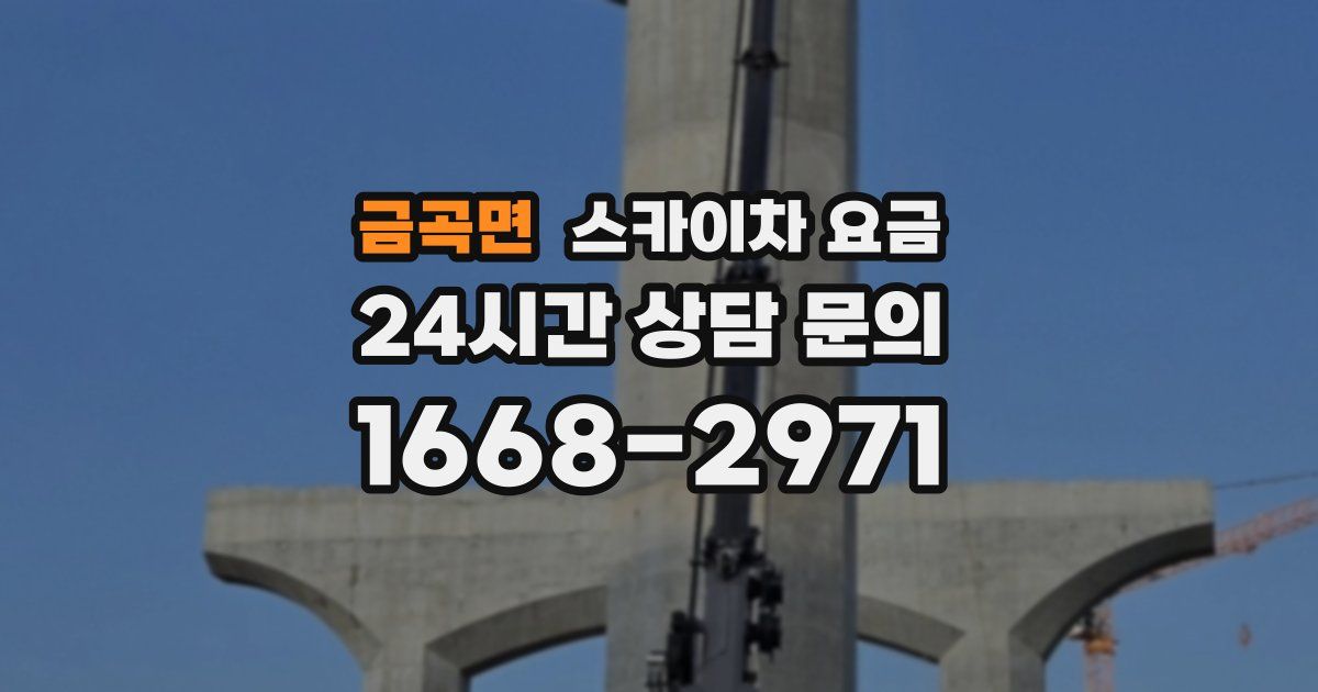 금곡면 스카이차 요금