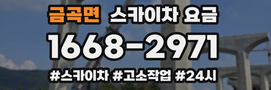 금곡면 스카이차 요금