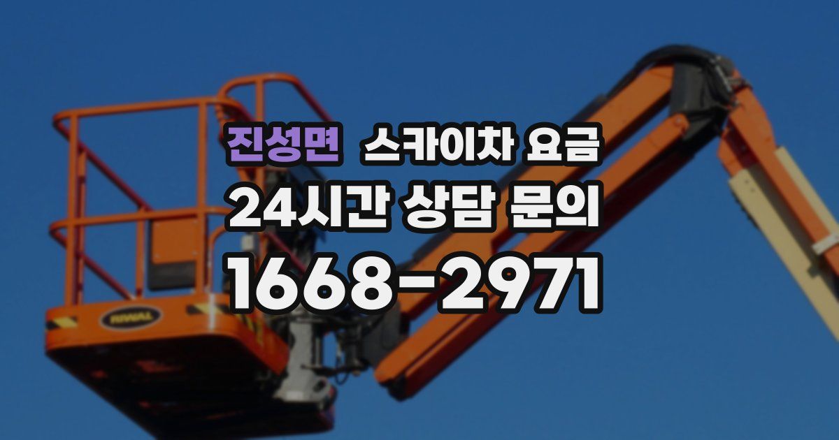 진성면 스카이차 요금