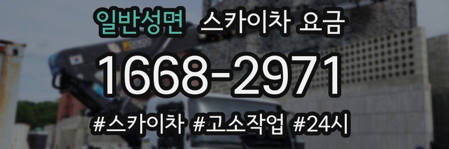 일반성면 스카이차 요금