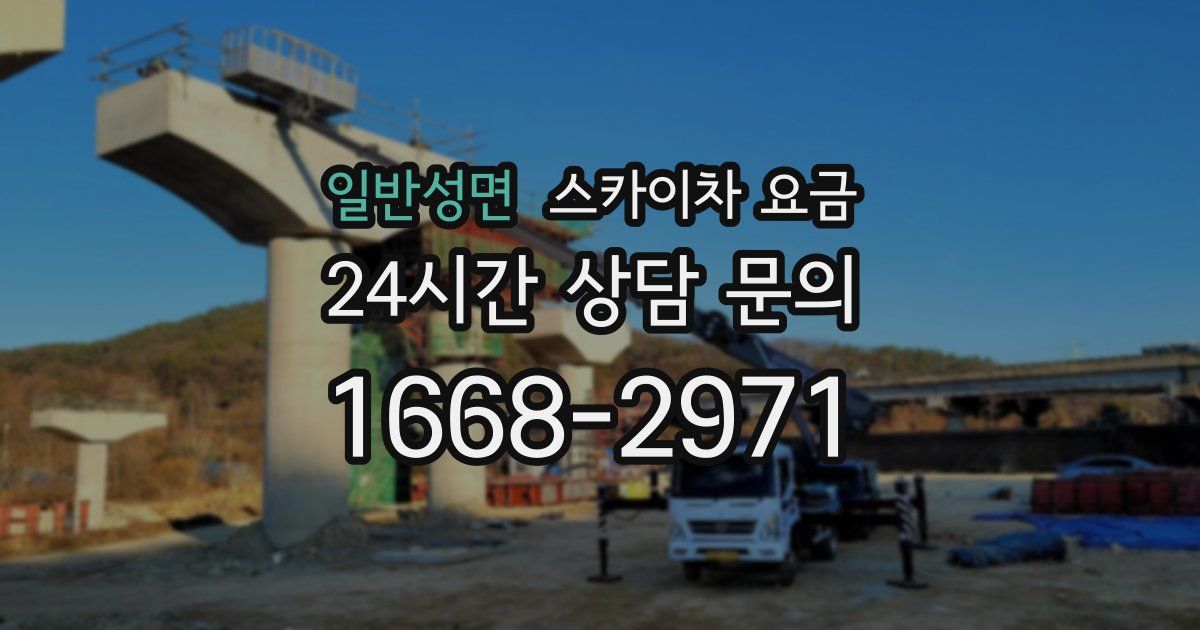 일반성면 스카이차 요금
