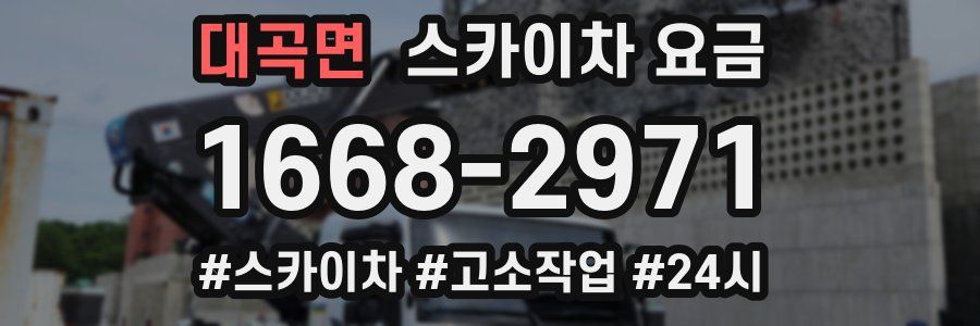 대곡면 스카이차 요금