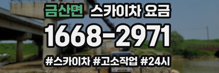 금산면 스카이차 요금