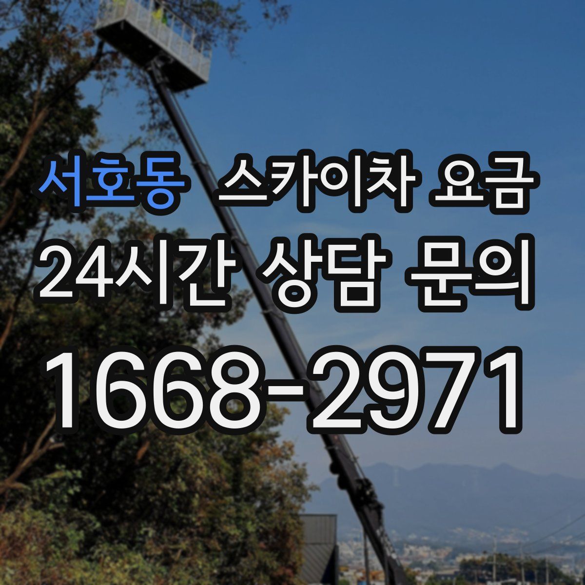서호동 스카이차 요금