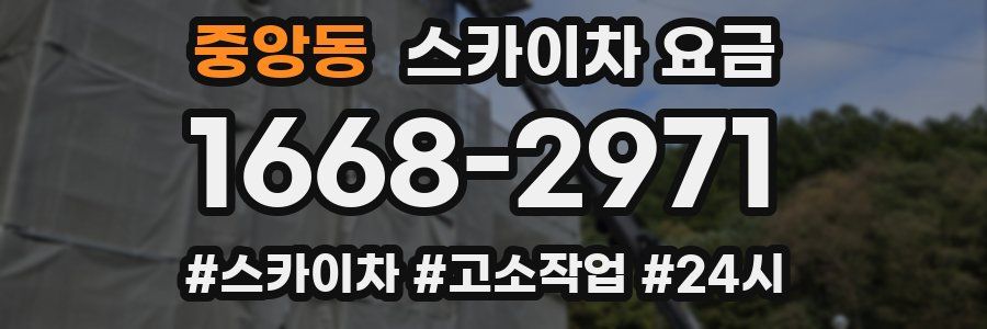 중앙동 스카이차 요금