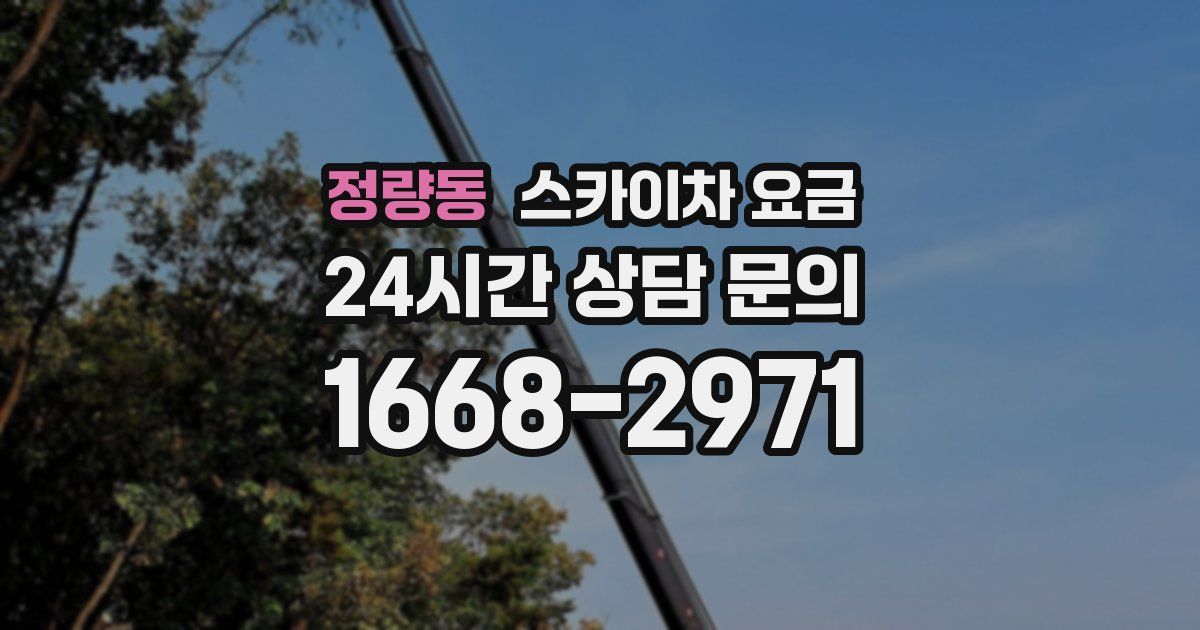 정량동 스카이차 요금