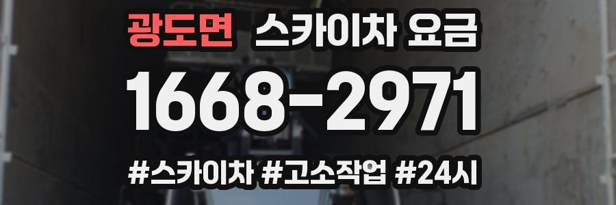 광도면 스카이차 요금