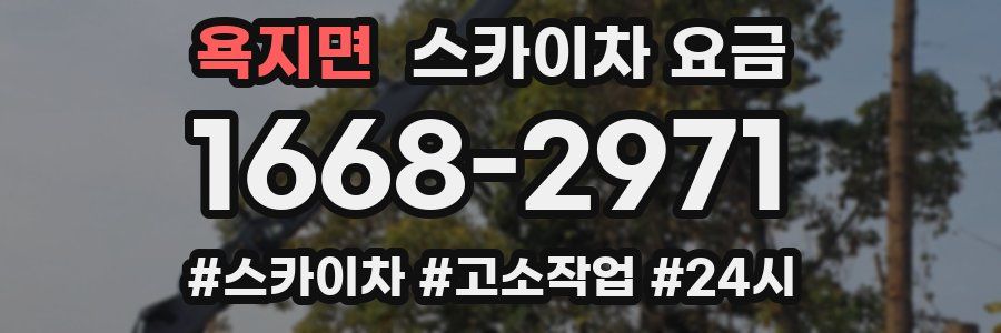 욕지면 스카이차 요금