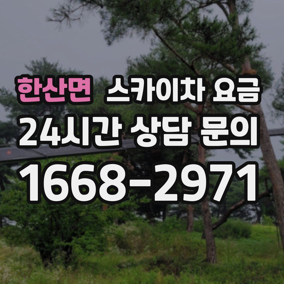 한산면 스카이차 요금