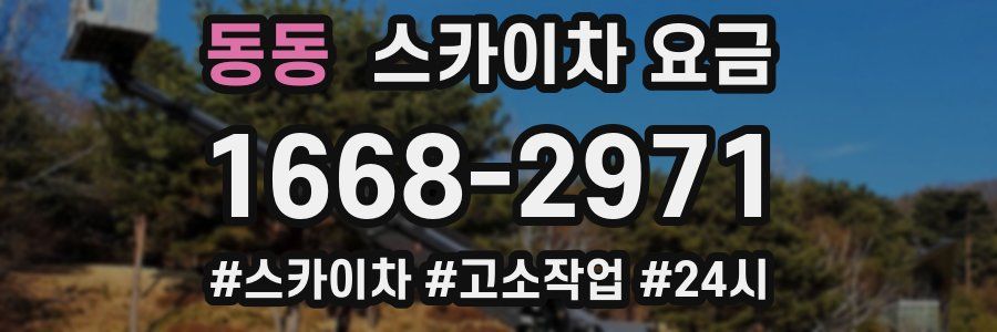 동동 스카이차 요금