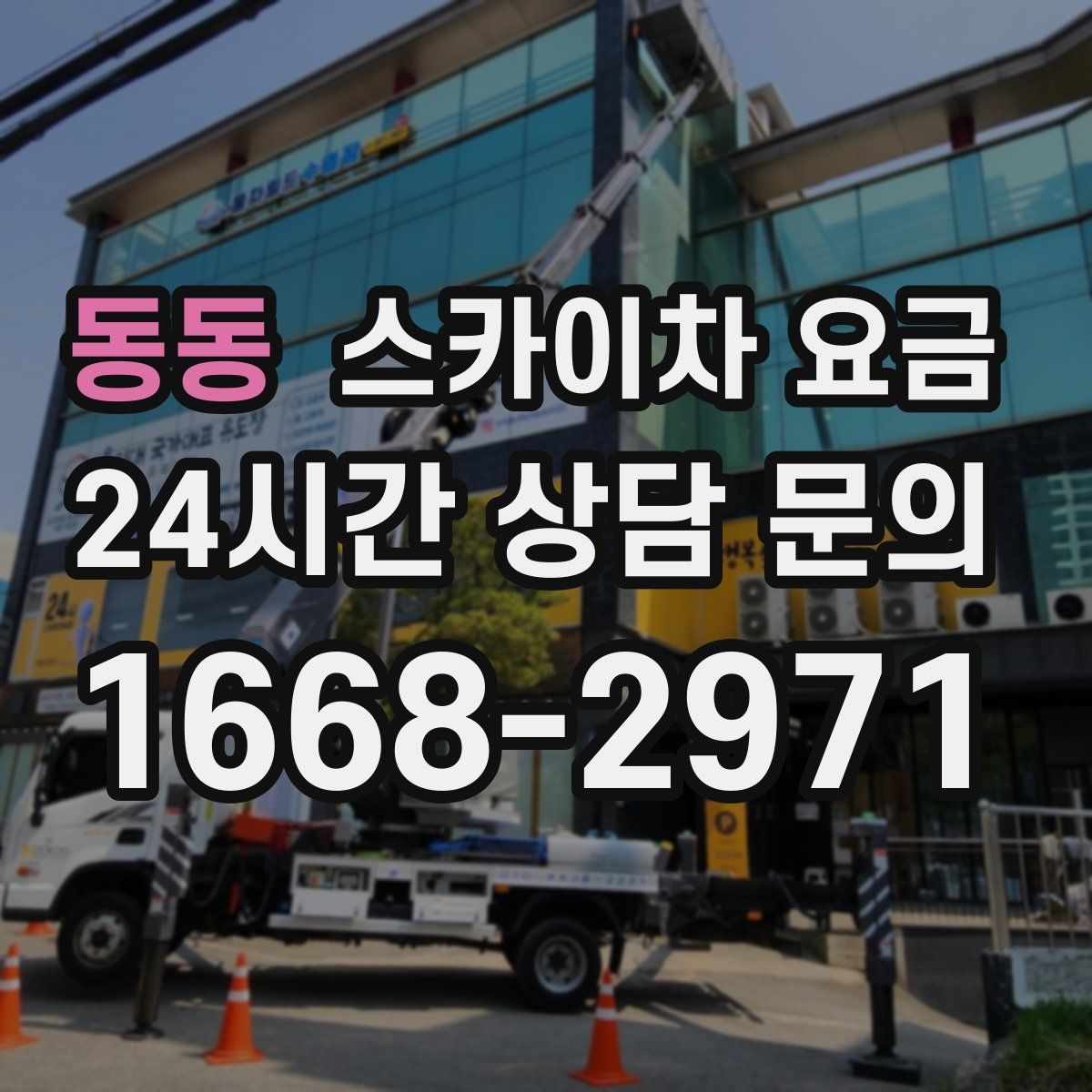 동동 스카이차 요금