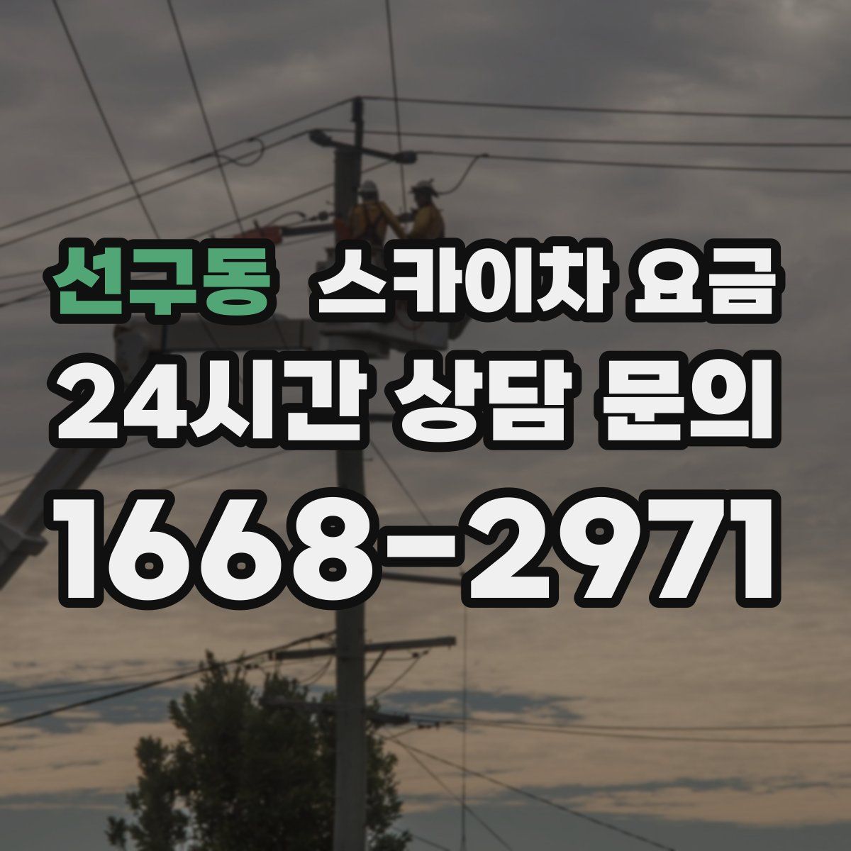 선구동 스카이차 요금