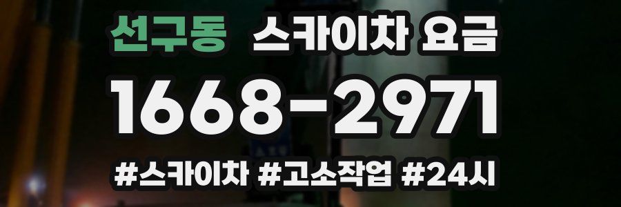 선구동 스카이차 요금