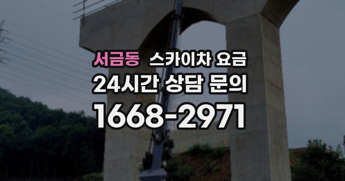 서금동 스카이차 요금