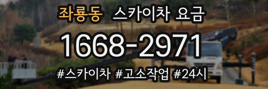 좌룡동 스카이차 요금