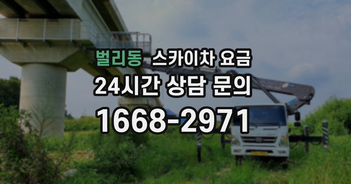 벌리동 스카이차 요금