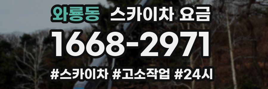 와룡동 스카이차 요금