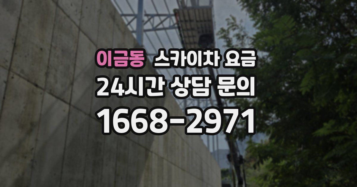 이금동 스카이차 요금