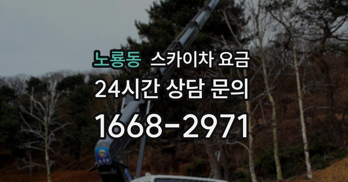 노룡동 스카이차 요금