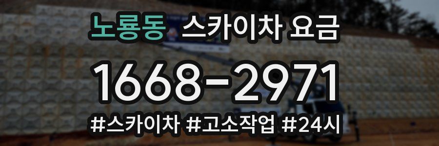 노룡동 스카이차 요금