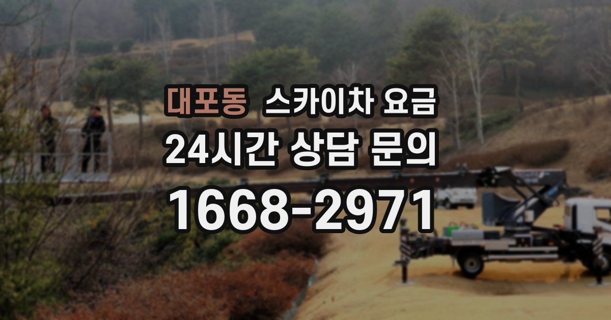 대포동 스카이차 요금