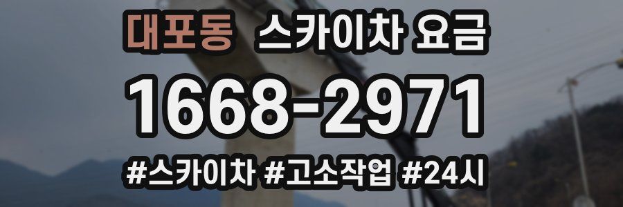 대포동 스카이차 요금