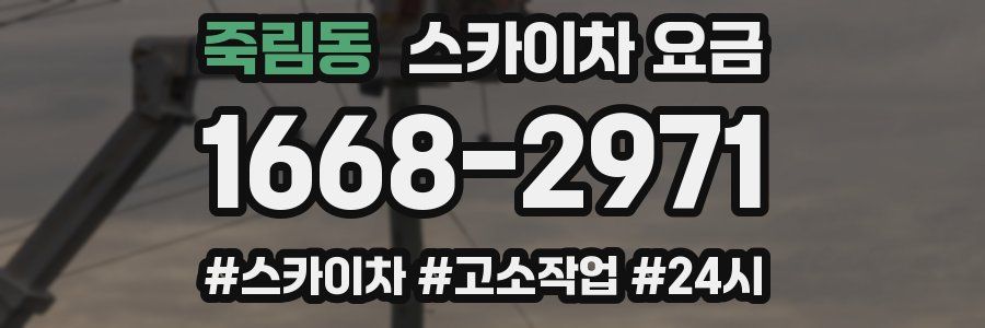 죽림동 스카이차 요금