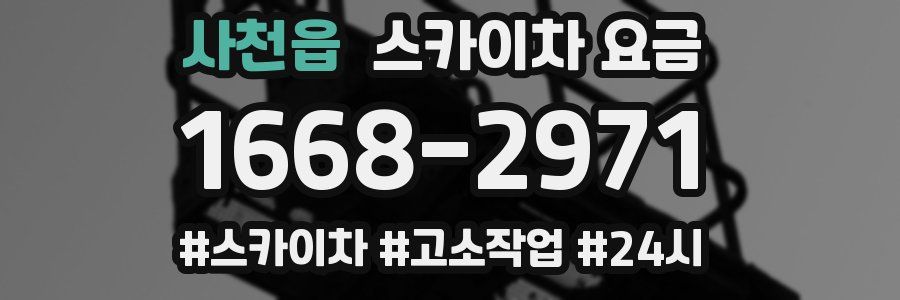 사천읍 스카이차 요금