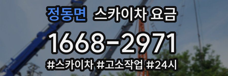 정동면 스카이차 요금