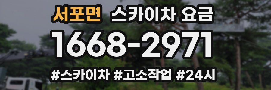 서포면 스카이차 요금