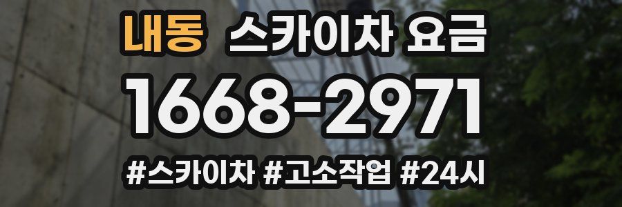내동 스카이차 요금