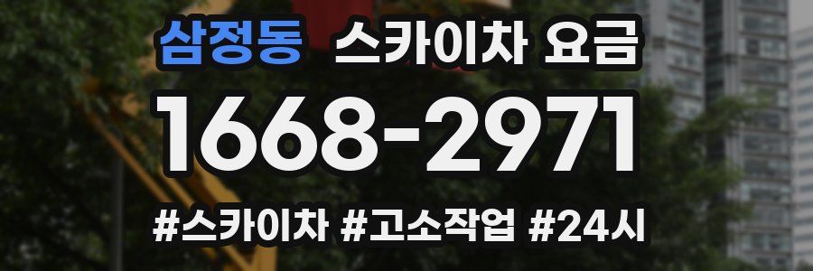 삼정동 스카이차 요금