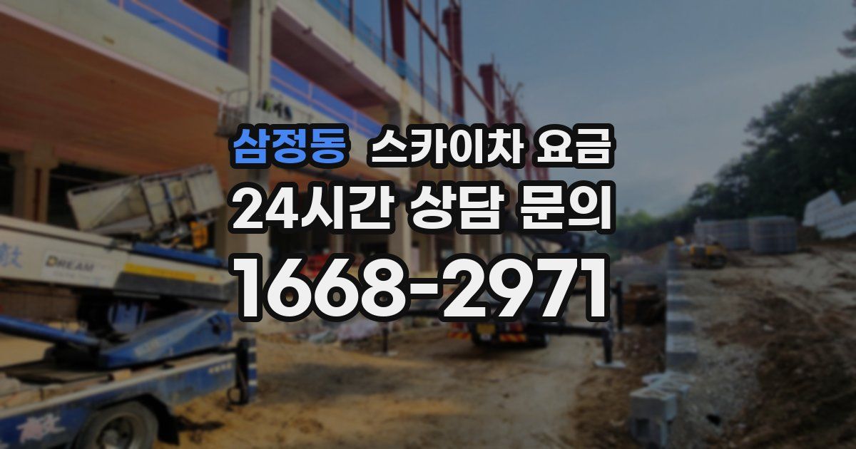 삼정동 스카이차 요금