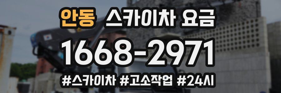 안동 스카이차 요금