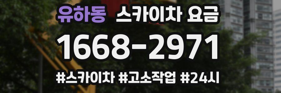 유하동 스카이차 요금