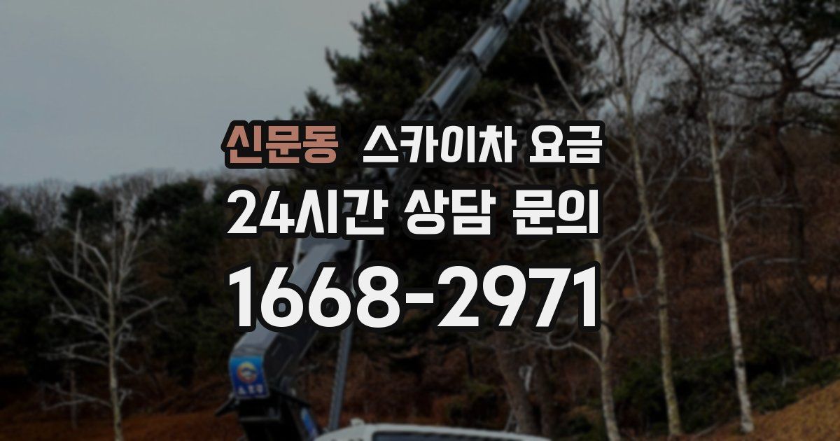 신문동 스카이차 요금